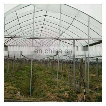 High Quality Cheap Price Agricultural Indoor Solar Greenhouse Frame With Plastic Sheet Tent photo-4
