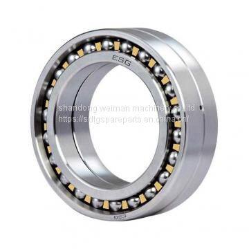 SKF Bearing