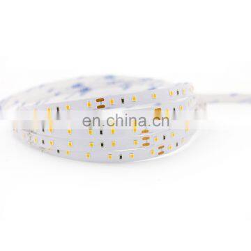 RGBW SMD5050 Flexible LED Strip Lights led rope light with built-in IC