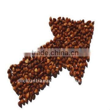 Chinese roasted buckwheat kernels