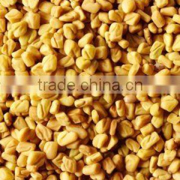 FENUGREEK