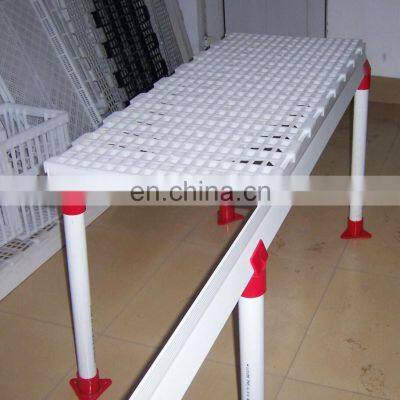 Plastic slat floor for broiler farm used for poultry equipment