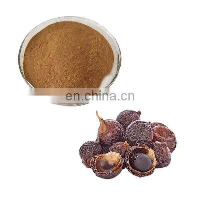 Soap nut powder from Vietnam