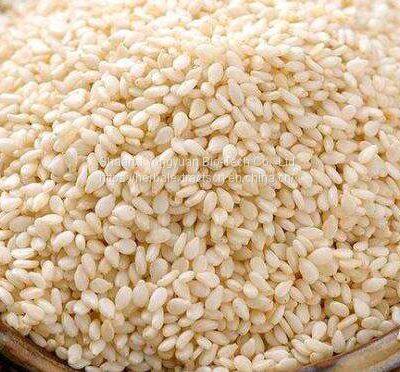 White sesame seed extract 10:1 TLC, Semen Sesami seed Extract, Sesame Powder Extract, Yongyuan Bio