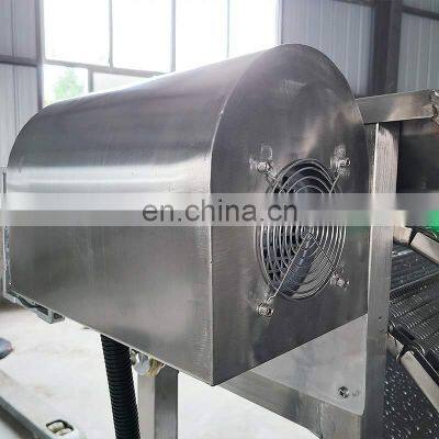 Multifunctional Dried Rinsing Cleaner Air Tomato Ginger Bubble High Pressure Surf Type Fruit Wash Machine photo-4