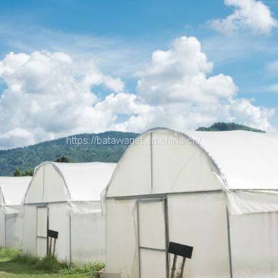 Special Crop Cover Plant Protection Fabric Insect Netting Various Sizes photo-3