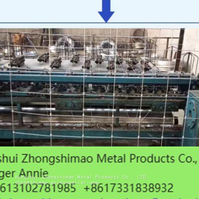 Grassland fence/Field Fence/Galvanized Steel Mesh/ stock fencing wire/Cattle fence