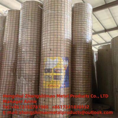 Welded wire mesh/galvanized wire mesh /wire netting/weld mesh roll/