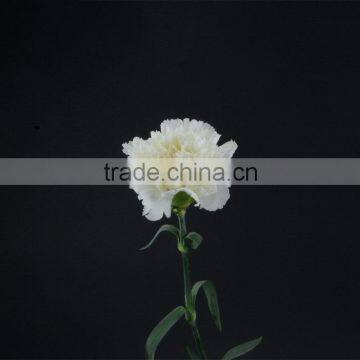 Alibaba china Snow White hotel floral flower bouquet carnation