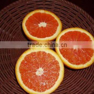 Chinese Fresh Navel Orange