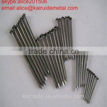 Common Iron Nail Wire Nail With Galvanized and Polished/common Iron Nail Factory photo-5