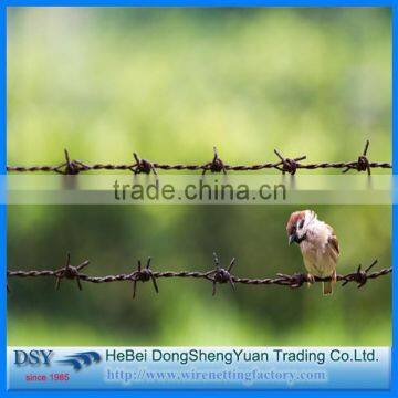 low price concertina razor barbed wire finished goods and materials