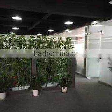 Shenzhen Mobai Technology Limited