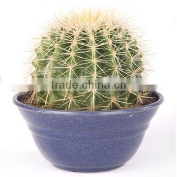 Bamboo Fiber flower pot