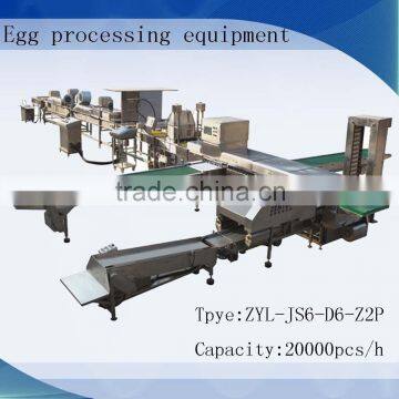 egg processing equipment