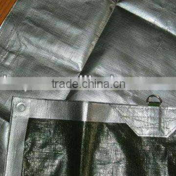 PE coated tarpaulin