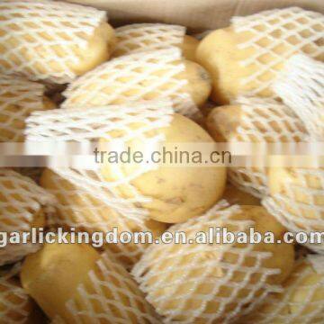 CHINA POTATO LOW PRICE