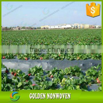 Eco Fabric Nonwoven Fabric/uv Resistance Agriculture Nonwoven/non Woven Fabric Made in China photo-5