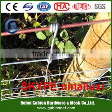 fixed knot galvanized steel deer fence