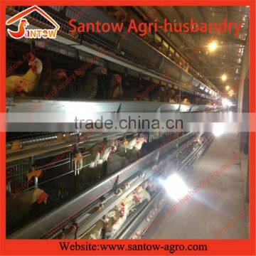 Stable steel structure professional chicken egg layer cage egg layer house design