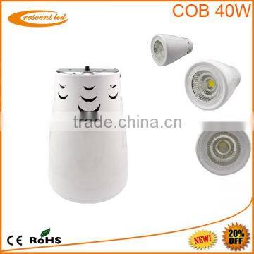 High Power Led Cob 4 Inch Downlight 50w 45w 40w 35w 30w 25w 20w 15w 10w Down Light