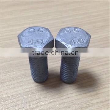 High Quality Hot Dip Galvanized Bolt photo-5