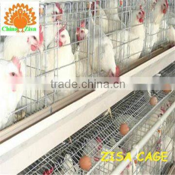 china zhongyuan factory produce layer battery chicken poultry equipments