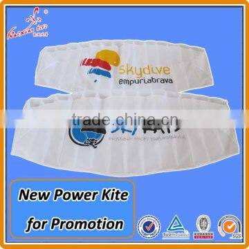 Kaixuan Kite factory Advertising Dual Line Power Kite