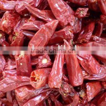 CHINA new crop stemless chili variety yidu for sale