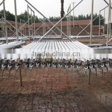 Real Factory In Cangzhou Steel Galvanized Ringlock Scaffolding For Sale(Layher Ringlock Scaffolding)