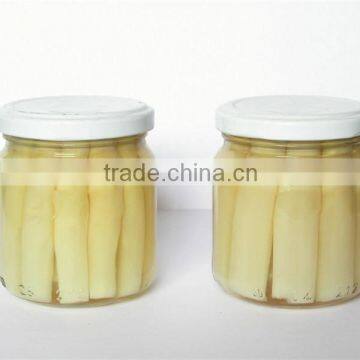 Canned White Asparagus Vegetable in Jar