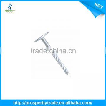 Steel Nail/iron Nail