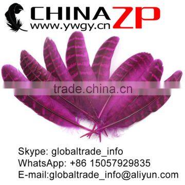 CHINAZP Feather Good Quality Cheap Colored Fuchsia Ringneck Pheasant Tip Feather photo-2