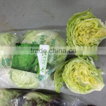 Fresh Lettuce for Sale Good Quality photo-3