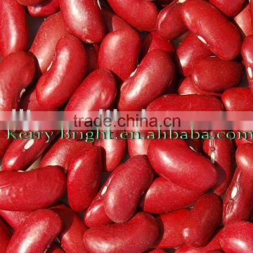 Red kidney Bean