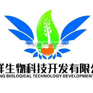 Isolated Soy Protein(ISP) photo-3