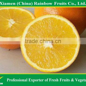 Chinese fresh citrus of honey baby mandarin list of yellow fruits