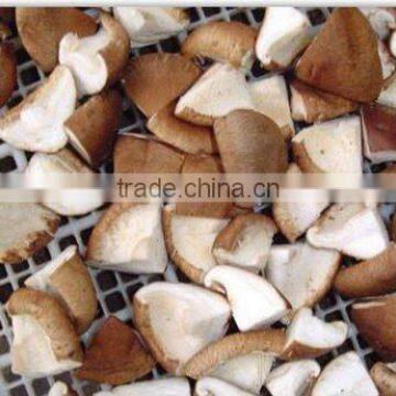 800g wholesale shiitake mushroom 1/4 cuts