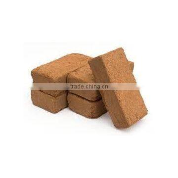 Coconut Coir Blocks