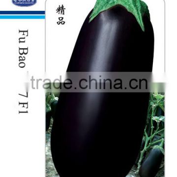 Hybrid Big Black Eggplant Seeds For Sale-Fu Bao No.7 F1