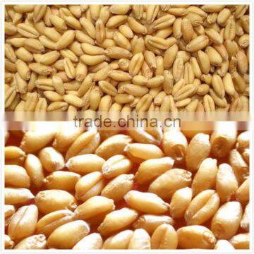 Grain Drying Systems | Portable Grain Dryer | Brock Grain Dryers photo-3