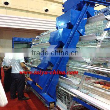 TAIYU Automatic Brooder Poultry Cage