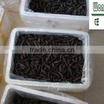 HOT!!! 100% Natural Organic Dried Prickly Sea Cucumber photo-4