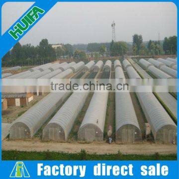 Rodent Proof Low Cost Commercial Plastic Greenhouse for Tomato photo-2