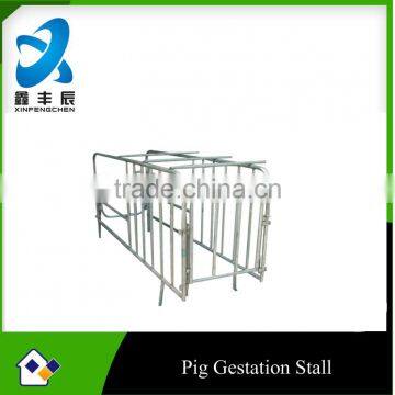 Pig Galvanized Farming Equipment---Gestation stall for pig