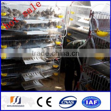 2014 new!!! cheap quail cage/laying cage for quail (manufactory)