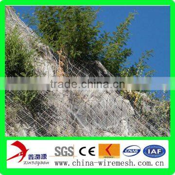 SNS protective slope mesh