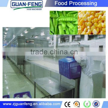 China Manufacturer iqf tunnel freezer refrigerator