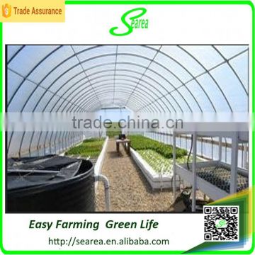 Single span potato growing greenhouse for agriculture