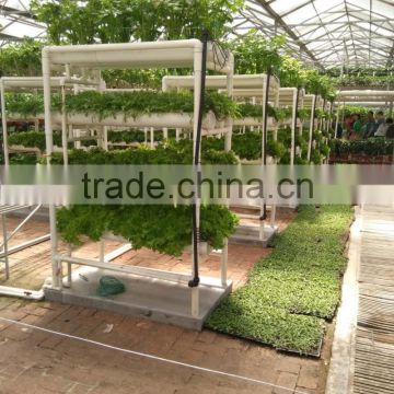 Multi-span Hydroponic China Greenhouses